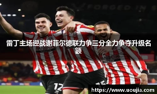 雷丁主场迎战谢菲尔德联力争三分全力争夺升级名额